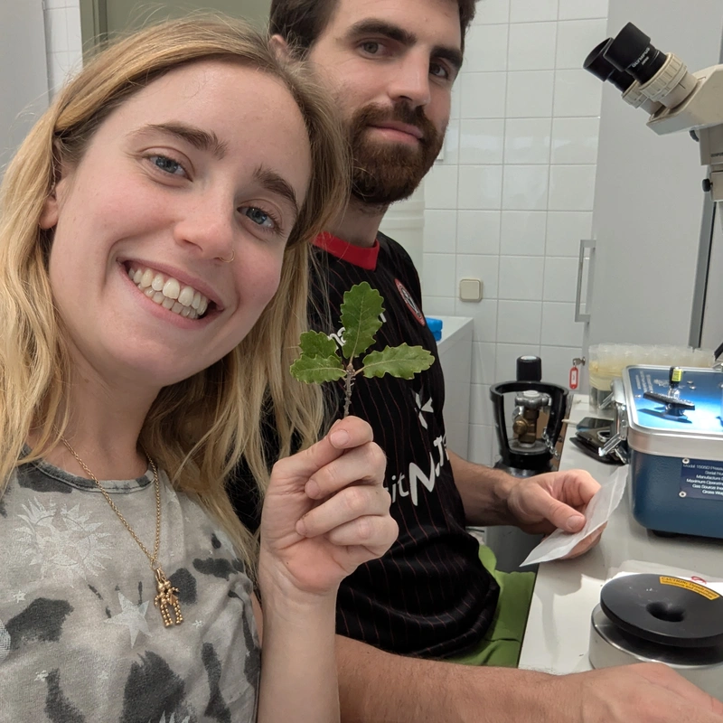 Measuring water potential in the laboratory
